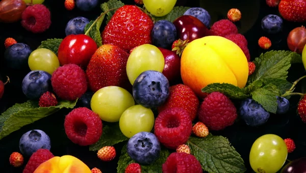 Exploring the Top Import Markets for Fruit and Berries Worldwide
